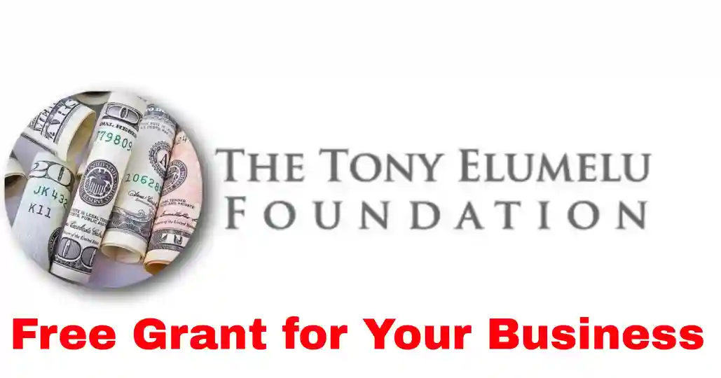 Tony Elumelu Foundation Grant