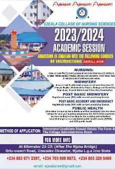 Ezeala College of Nursing and Midwifery Okwudor Admission Form