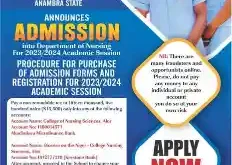 COLLEGE OF NURSING SCIENCES ALOR ANAMBRA STATE form